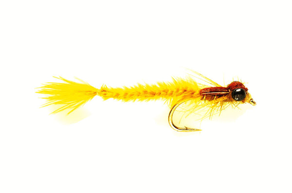 LIVING DAMSEL - GOLD OLIVE