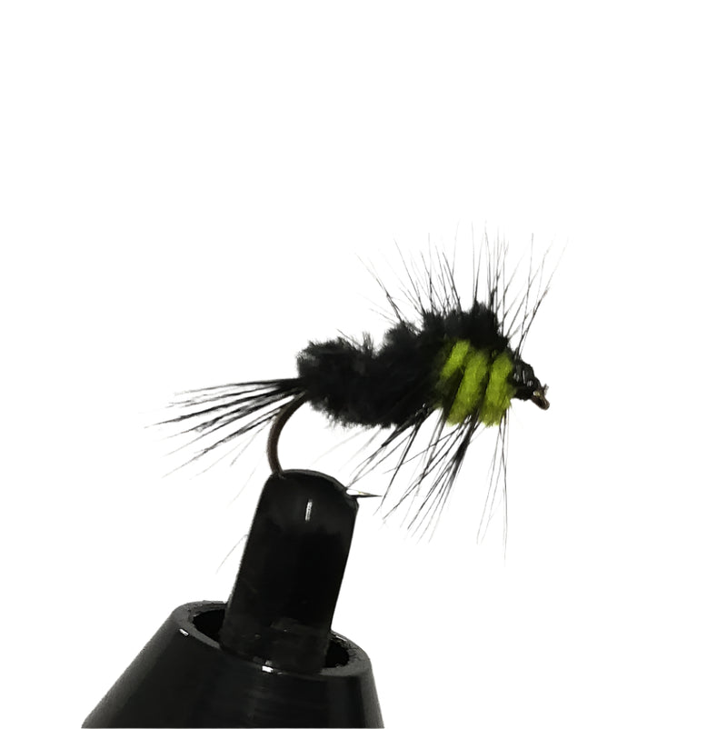 MONTANA NYMPH