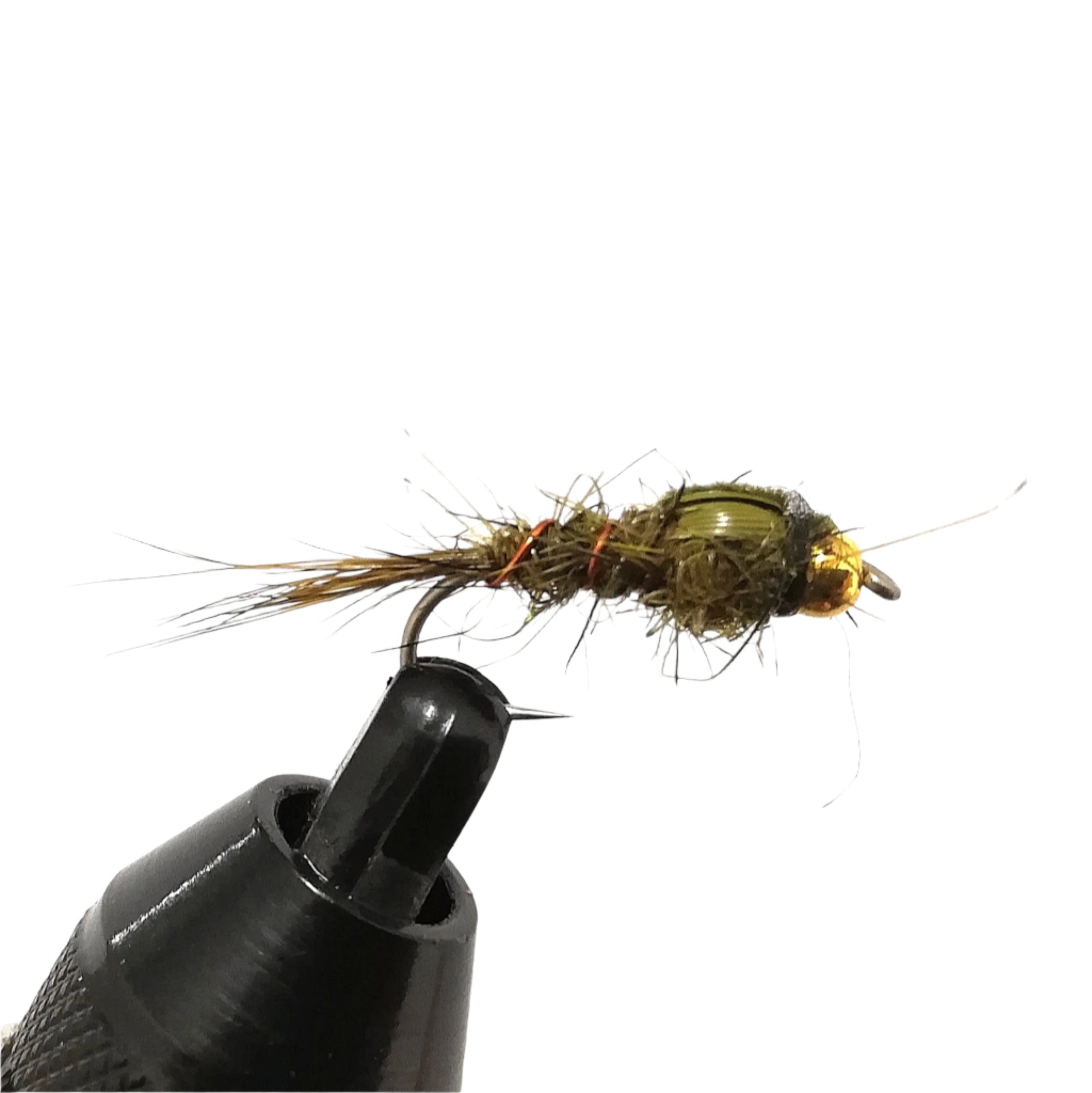 NYMPHS