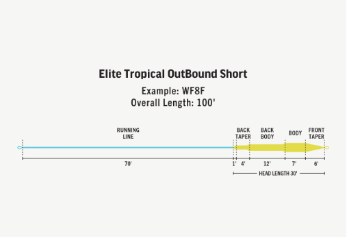 RIO ELITE TROPICAL OUTBOUND SHORT FLY LINE