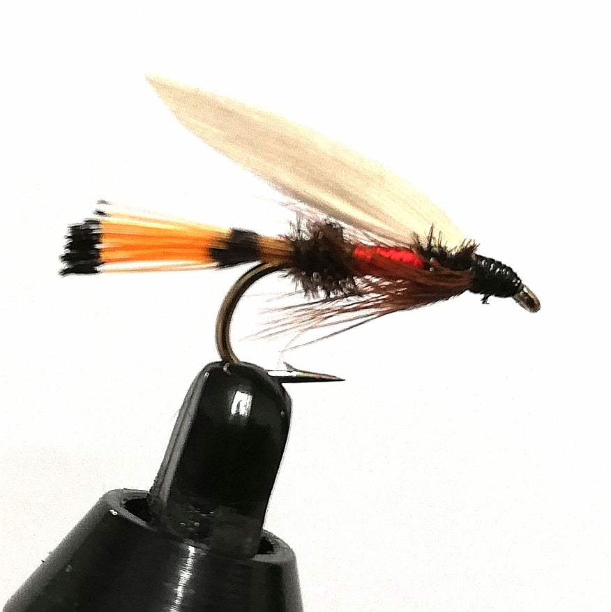 Coachman Insect ROYAL COACHMAN